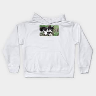 Playful Cat Kids Hoodie